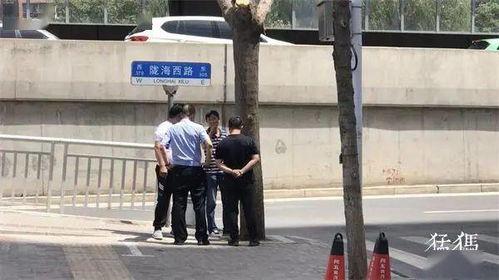 南阳特岗爆料事件最新,真相与争议交织的职场风云  第3张